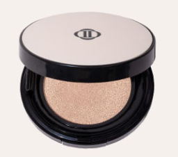 Dinto Blur-Finish Cushion 12g