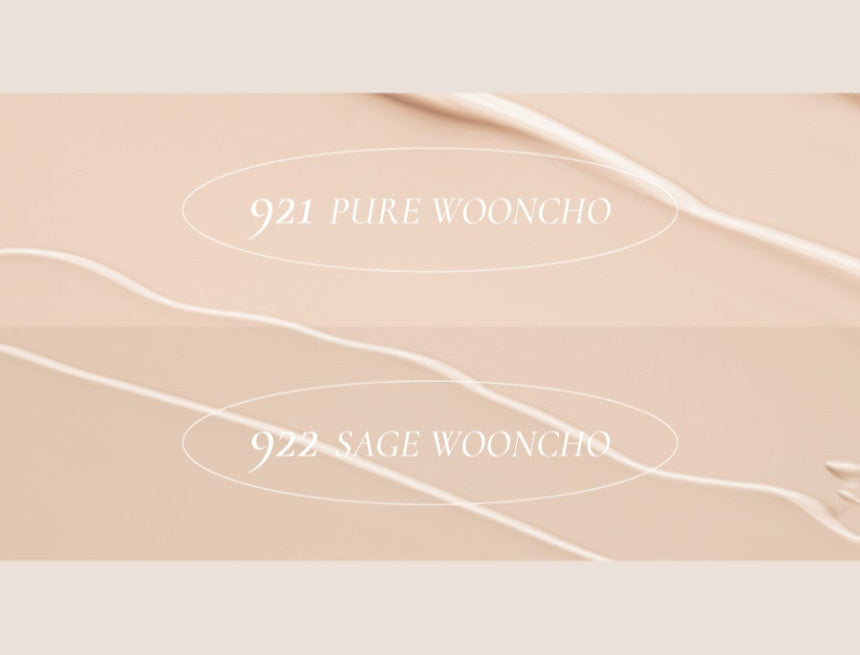 Dinto Wooncho Blur-Matte Foundation 25ml